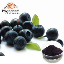 wholesale acai berry powder natural 20:1 Acai Berry Extract